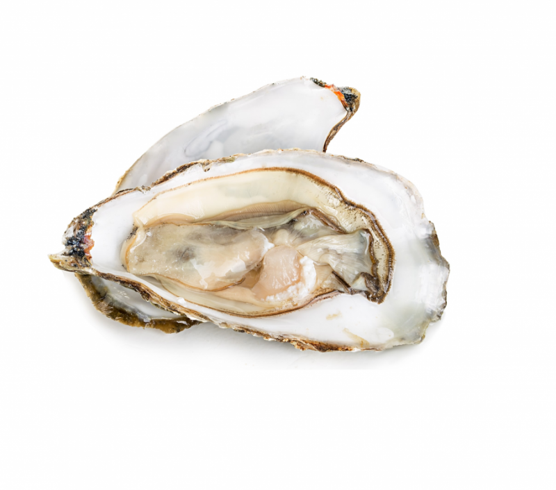 Устрица Белый жемчуг живая Premium Oysters Франция