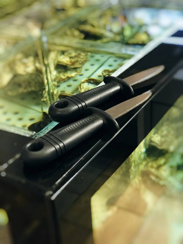 Нож для устриц с пластиковой ручкой