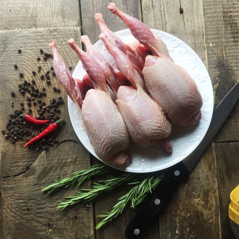 Перепелка домашняя